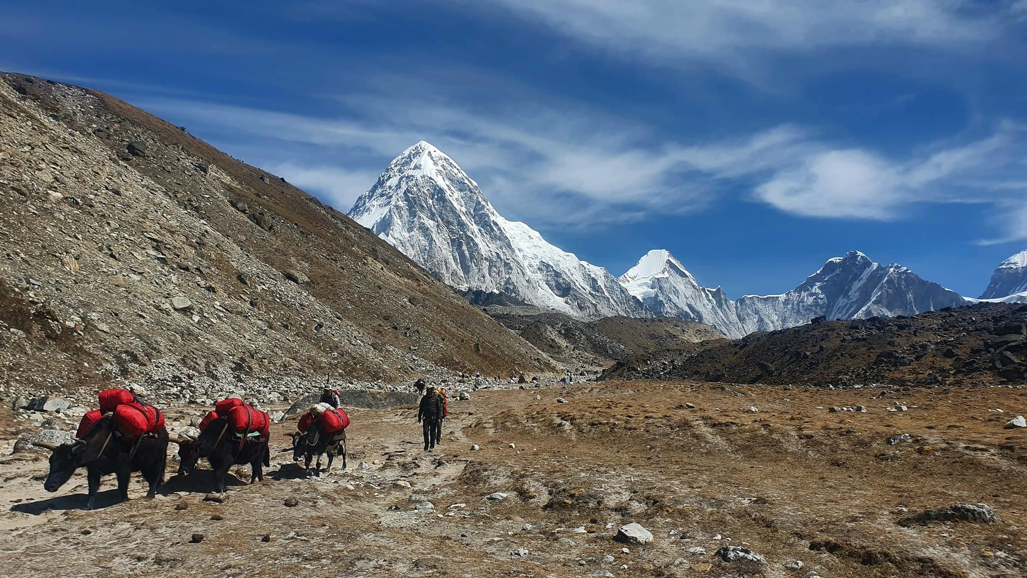 EVEREST 3 HIGH PASS TREK