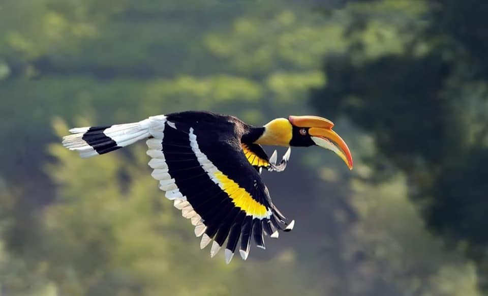 Best Luxury in Nepal